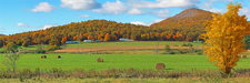 Meadowmount School of Music ~ Westport NY