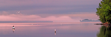 Fog Bank on Lake Champlain