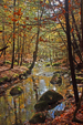 Crooked Brook ~ Wadhams NY