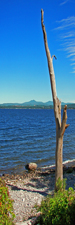 Weathered Sentinel on Lake Champlain