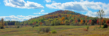 Field and Forest Trail ~ Wadhams NY 
