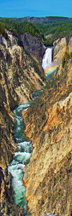 Lower Yellowstone Falls ~ Panorama