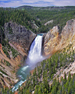 Yellowstone Lower Falls