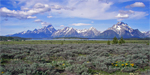 Grand Tetons Near Jackson Lake Dam