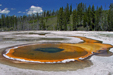 Chromatic Spring at Yellowstone