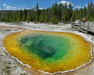 Morning Glory Pool at Yellowstone