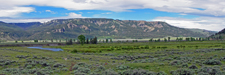 Along Soda Butte Creek ~ Yellowstone Panorama