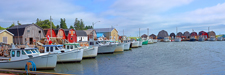 Oyster Fleet At Malpeque Harbor ~ PEI