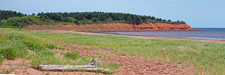 Red Sandstone Cliffs at New Rustico Beach - PEI