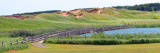 North Shore Dunes at Cavindish - PEI